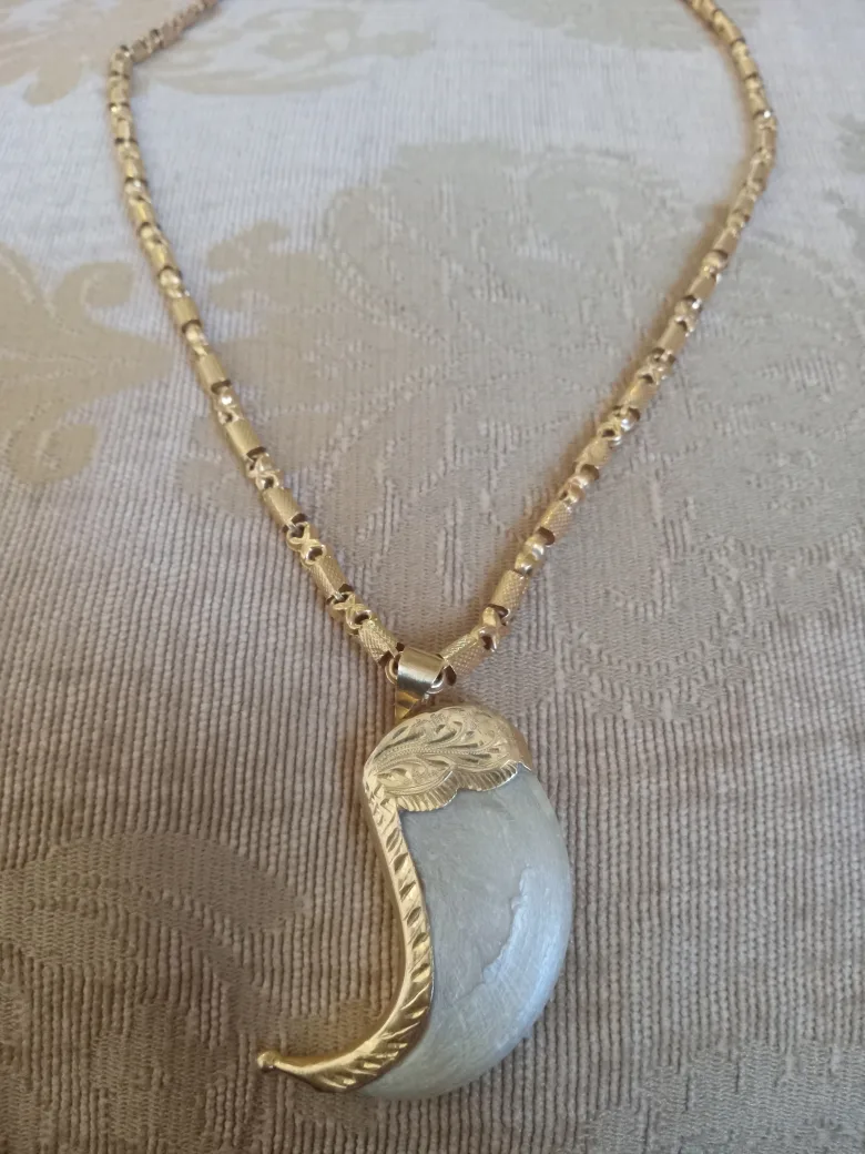 Gold Tone Necklace with Claw Pendant thumbnail