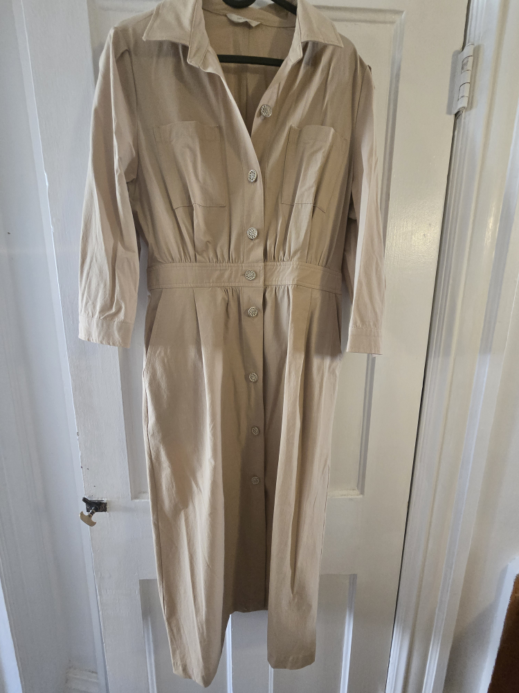 The Izzat Beige Dress