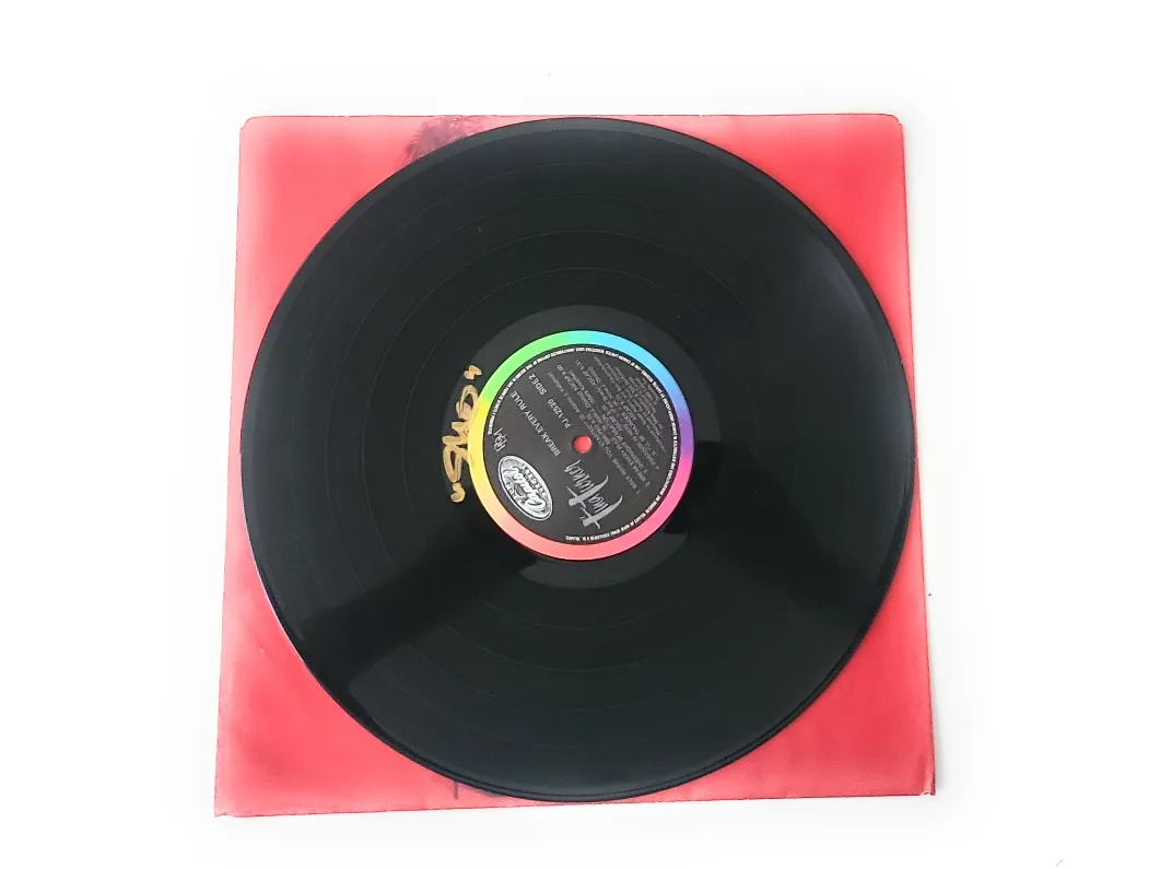 Tina Turner - Break Every Rule Vinyl Record image indicator(5)
