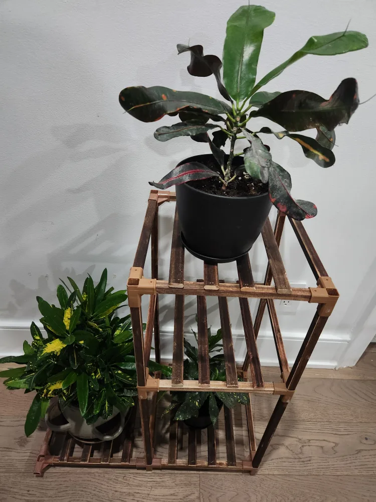 plant stand *new* thumbnail
