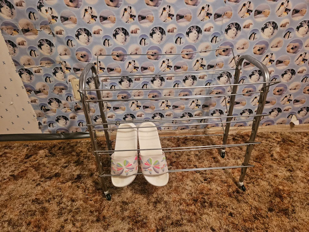 Metal Shoe Rack thumbnail