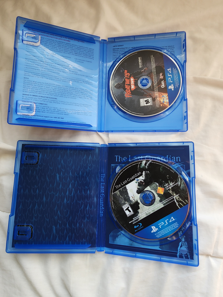 Friday the 13th and The Last Guardian PS4 - photo 3