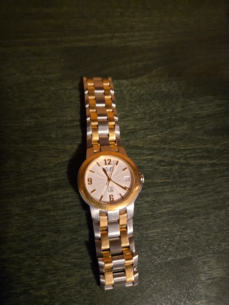 ESQ Swiss Quartz Two-Tone Watch thumbnail