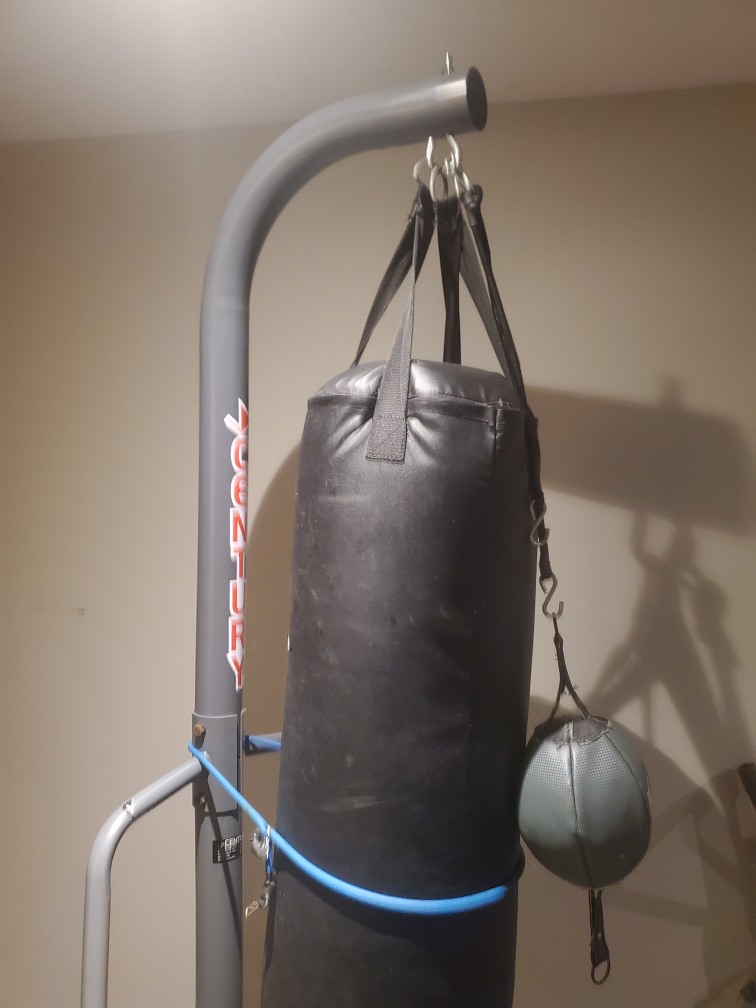 Century Punching Bag with Everlast Speed Bag & Gloves - photo 3