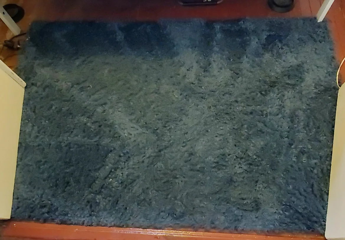 Blue Shag Rug #Freecycle thumbnail