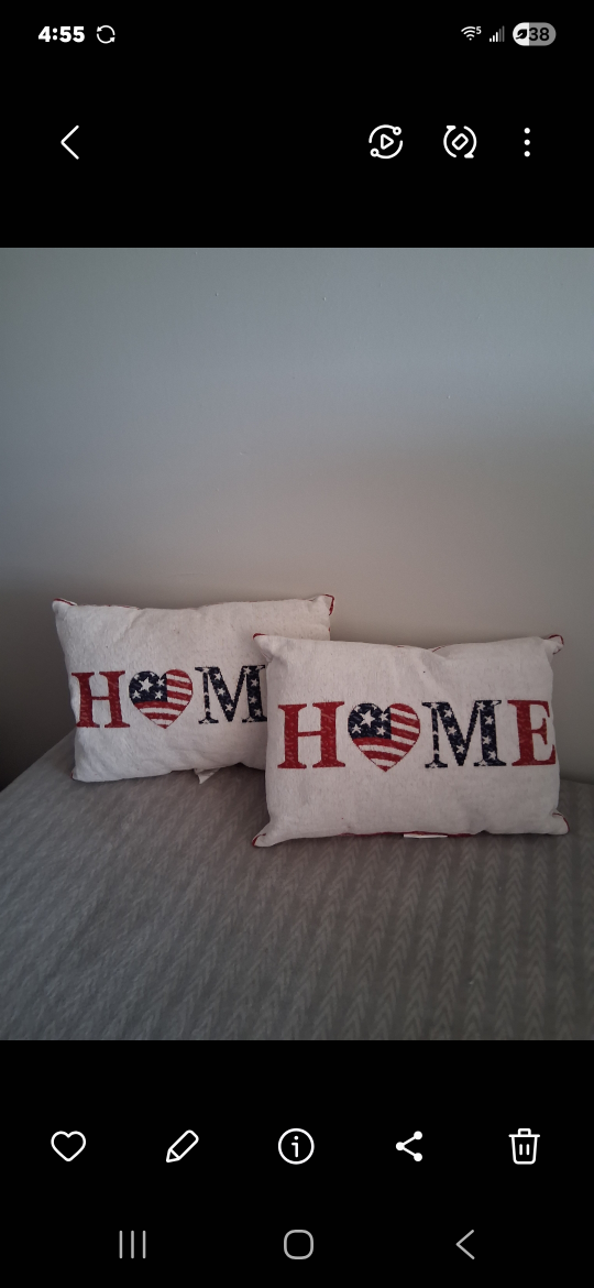 Home Decorative Pillows