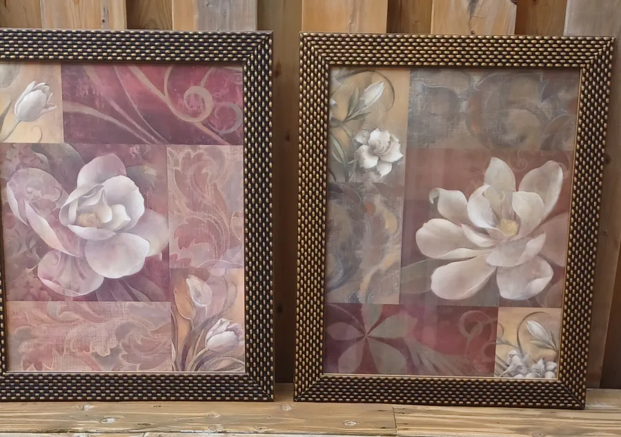 Set of two Crystal Art Gallery Framed Magnolia Art - image indicator(3)