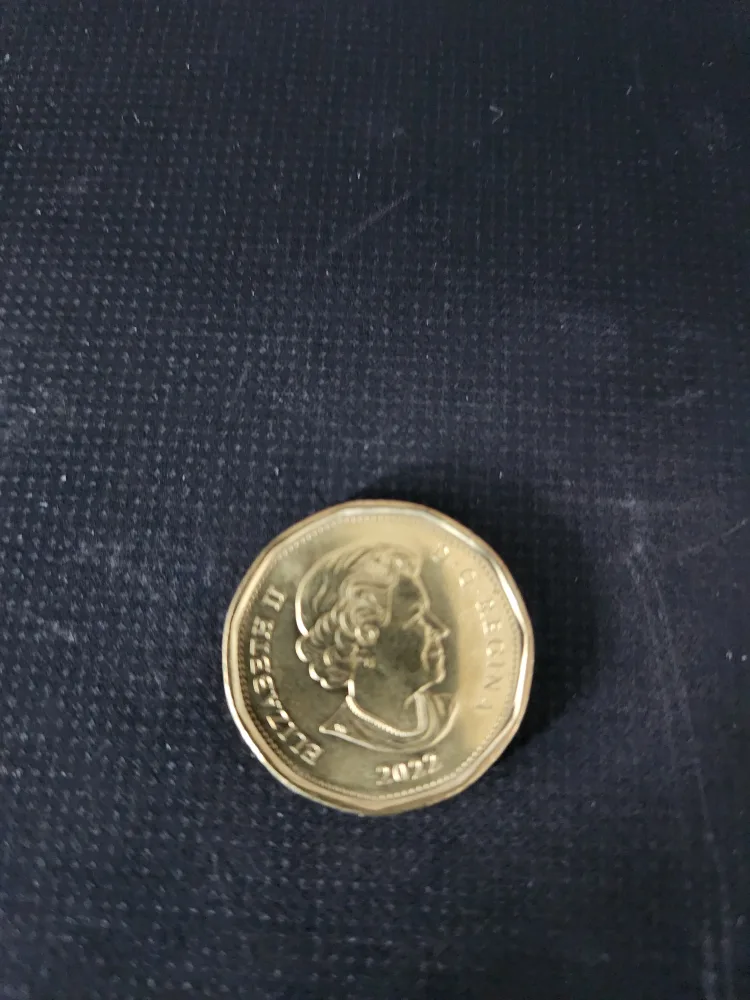 Canadian Collector's Coloured Looney image indicator(2)