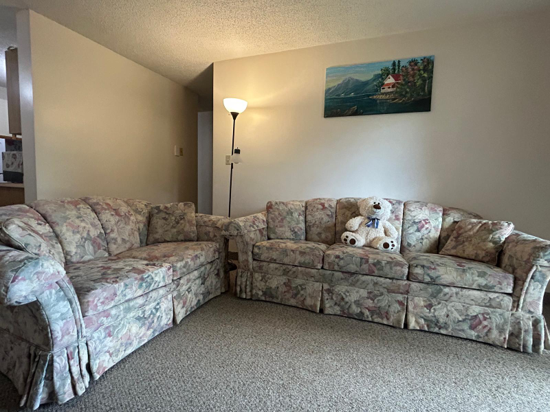 Floral Sofa Set