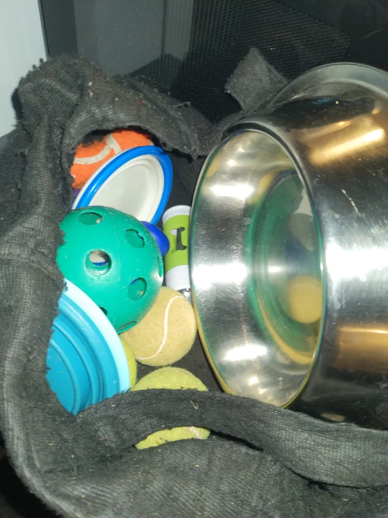 Dog Toy Bundle - Tennis Balls, Frisbee, Bowl thumbnail