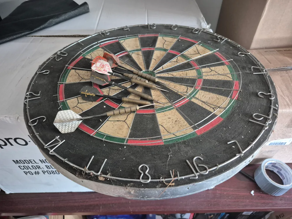 Used Dartboard with Darts thumbnail