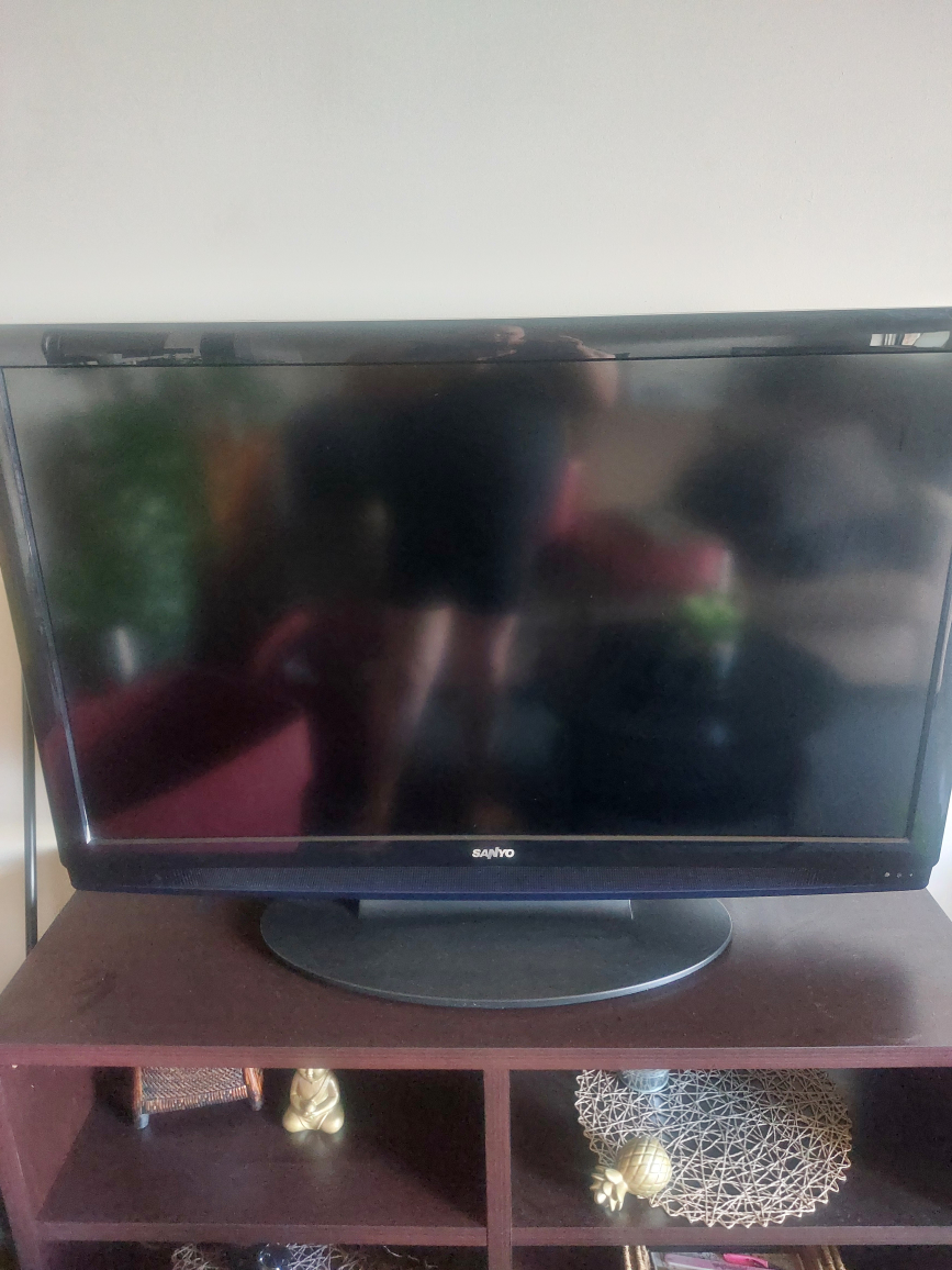 52" Sanyo TV - photo 2