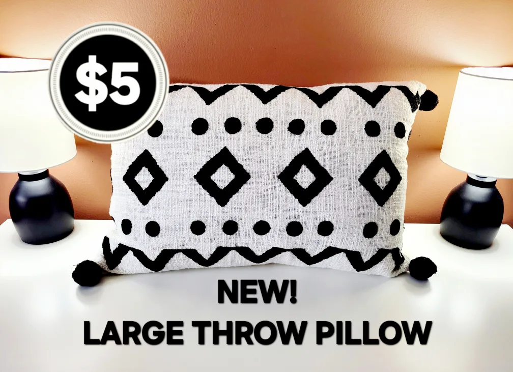 Large Decor Throw Pillow  - LIKE NEW! thumbnail
