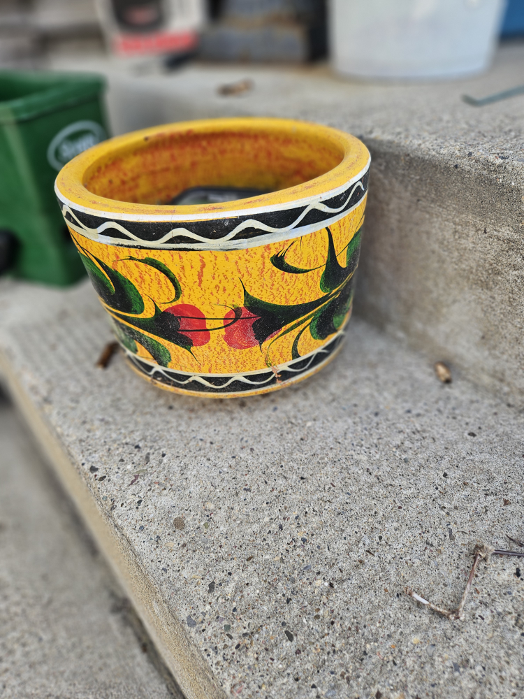 Mexican Flower Pot and plant food