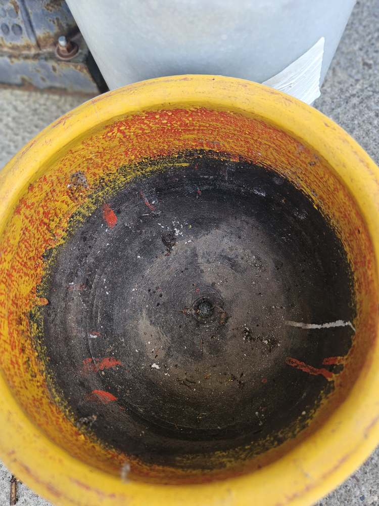 Mexican Flower Pot and plant food - photo 2