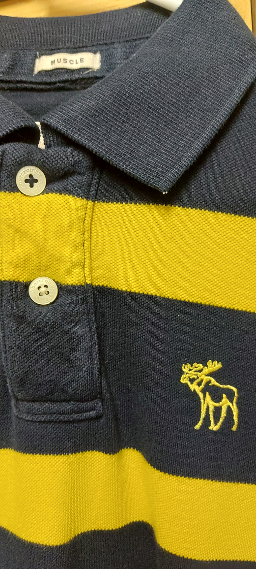 Abercrombie & Fitch XL Polo Shirt - photo 2