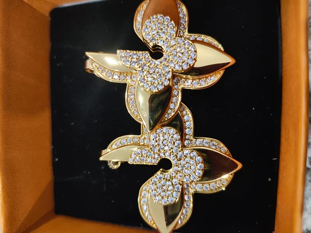 Louis Vuitton Earrings image indicator(4)