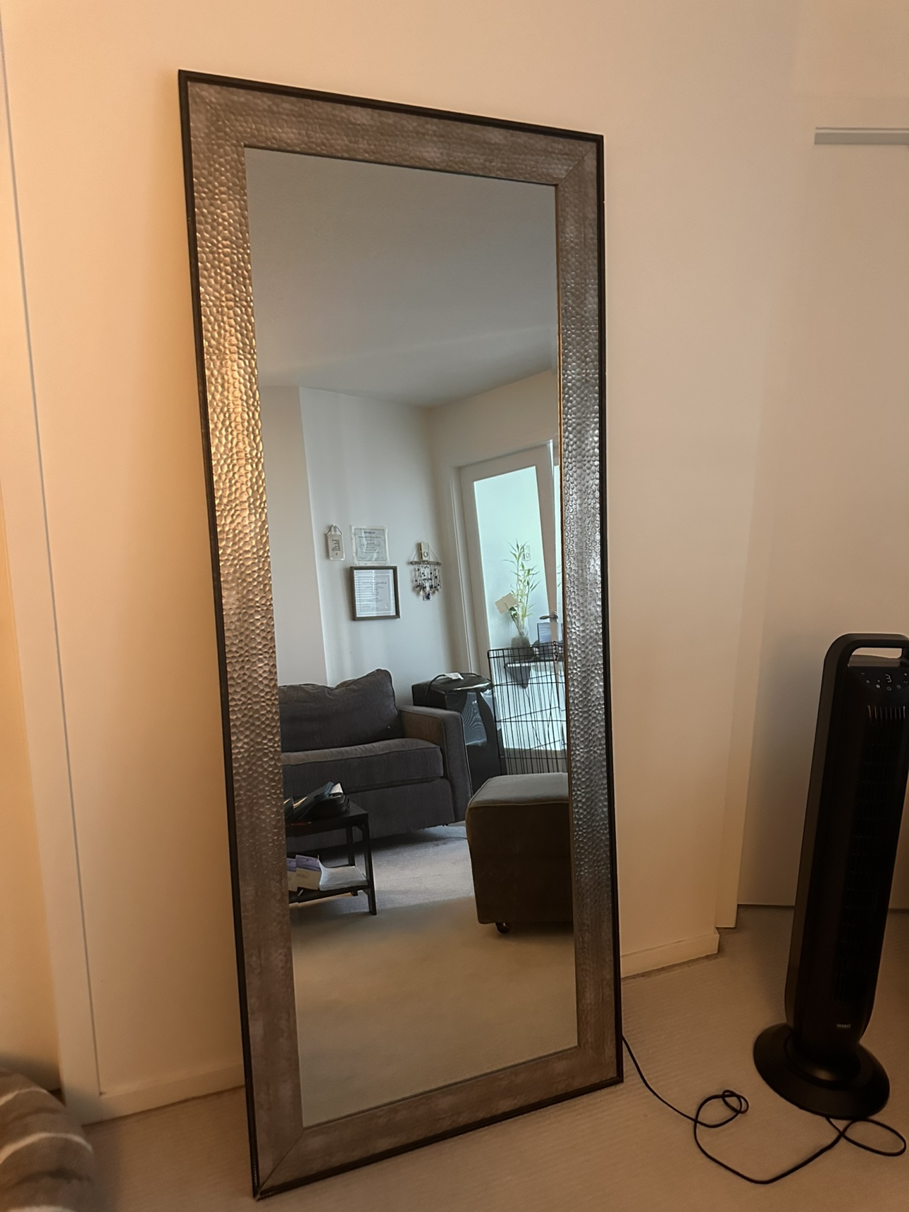 Full Length Mirror