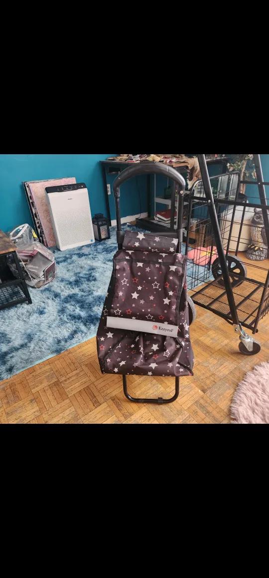 small Ezzyrol Shopping Cart. thumbnail