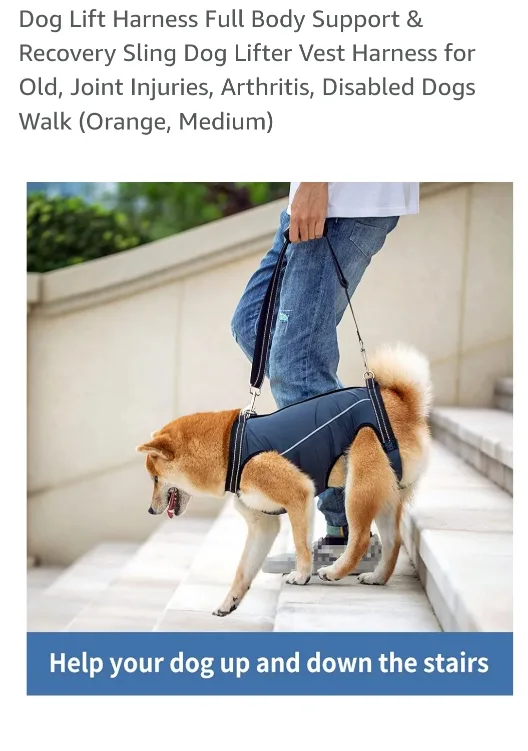 $7 NEW! Dog Lift Harness – Full Body Support – Size M image indicator(2)