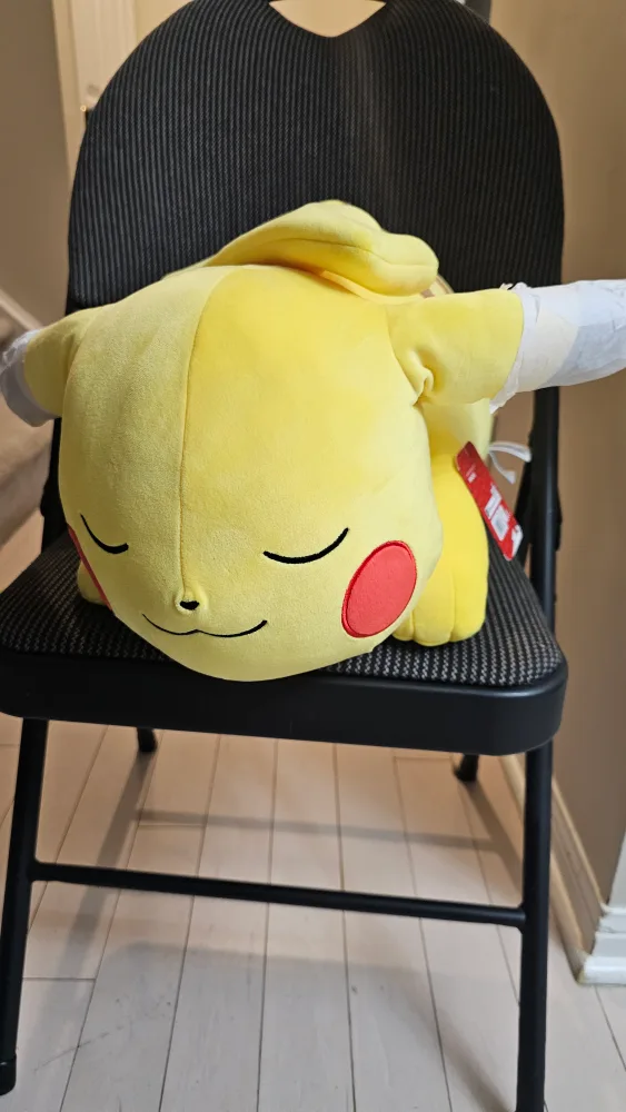 brand new pokemon sleeping plush image indicator(3)
