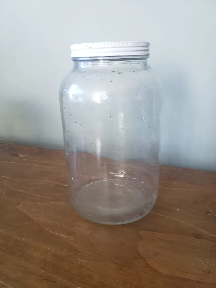 Large Glass Mason Jar