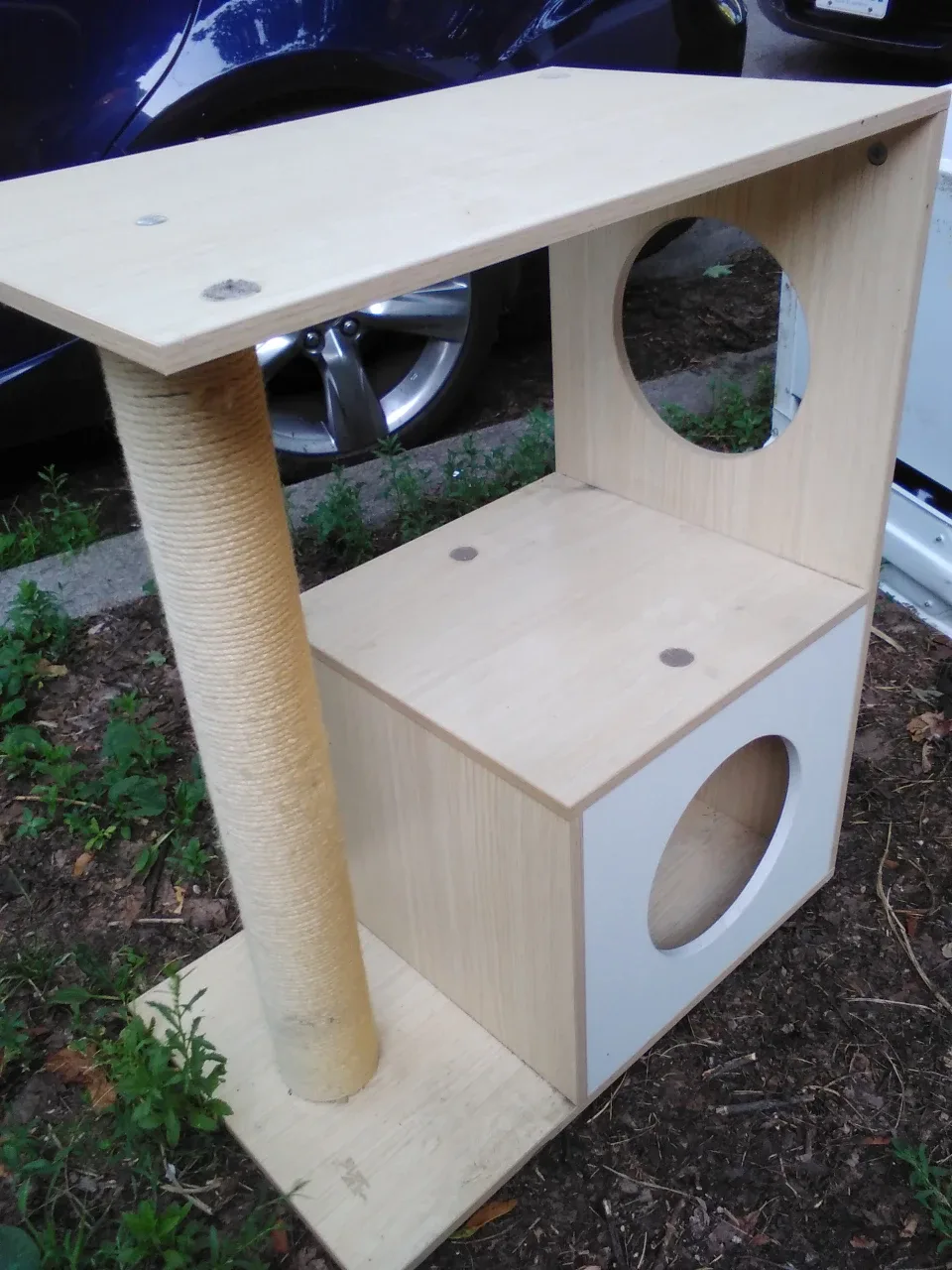 Cat Tree 🇨🇦 image indicator(2)