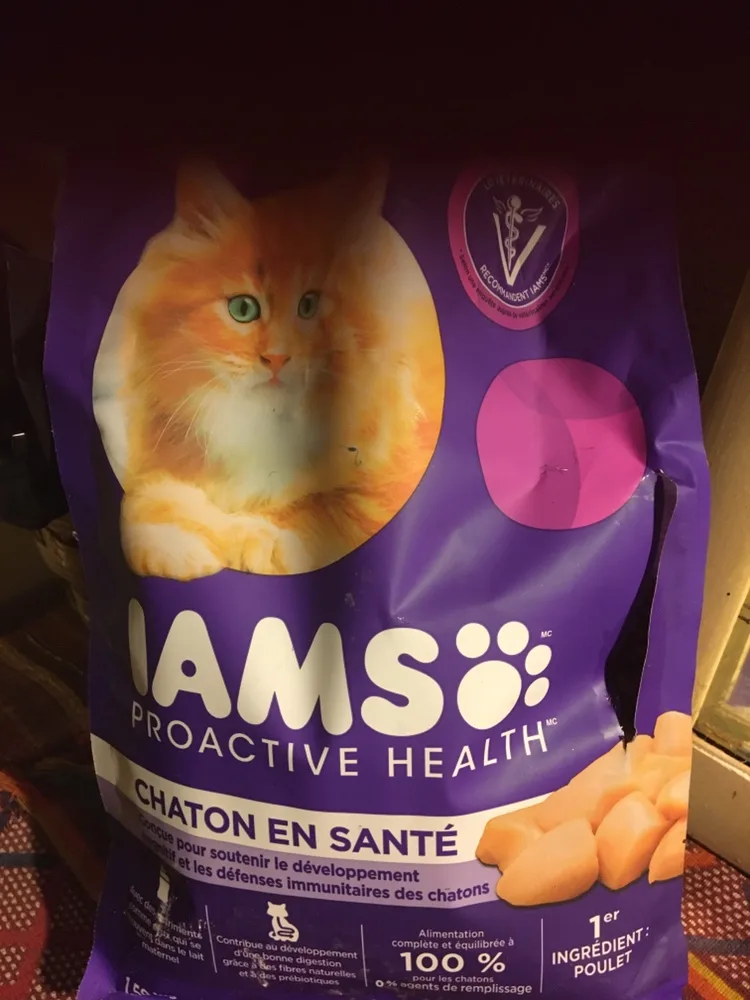 Cat Food and Litter thumbnail