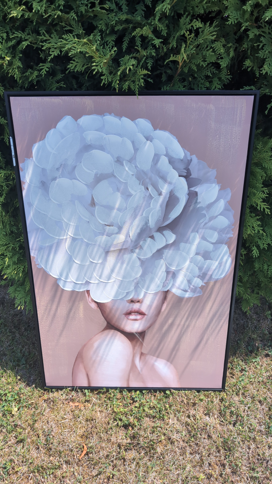 Framed Wall Art - Woman with Flower