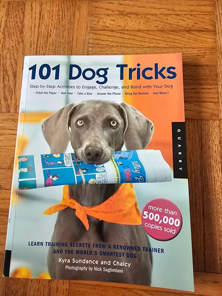101 Dog Tricks Book thumbnail