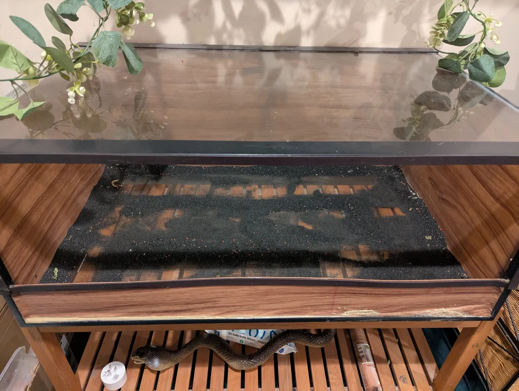 Poorly Converted Terrarium thumbnail