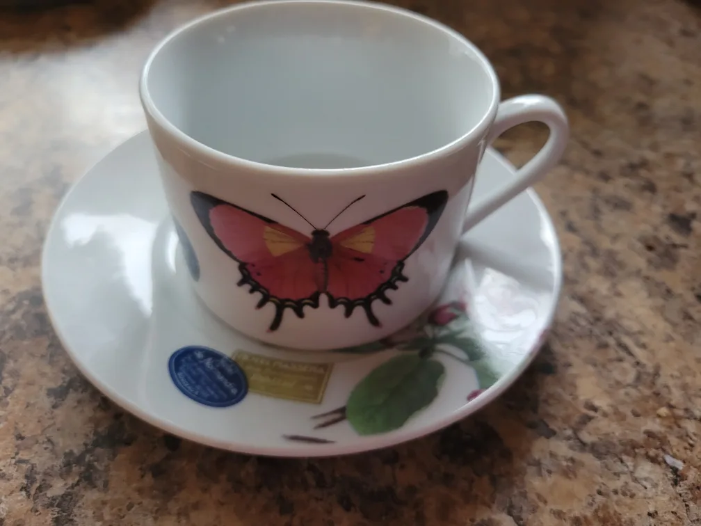 Fringe Studio Tea Cup and Saucer Set🇨🇦 thumbnail