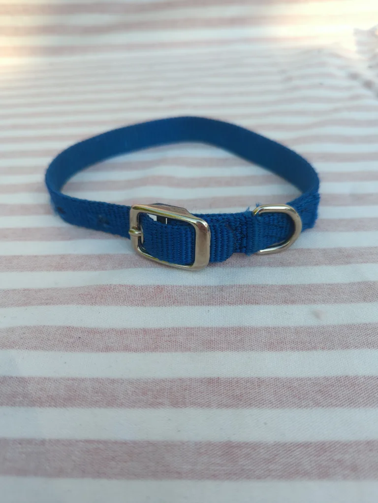 Blue Pet Collar thumbnail