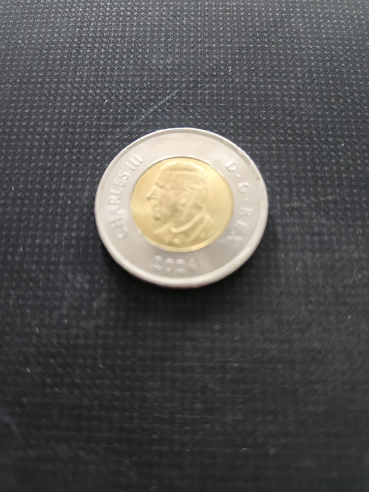 Canadian Colour Toonies image indicator(5)