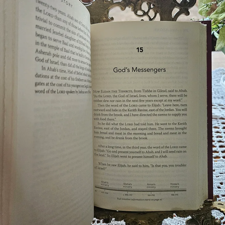 The Story NIV Bible by Max Lucado & Randy Frazee image indicator(10)