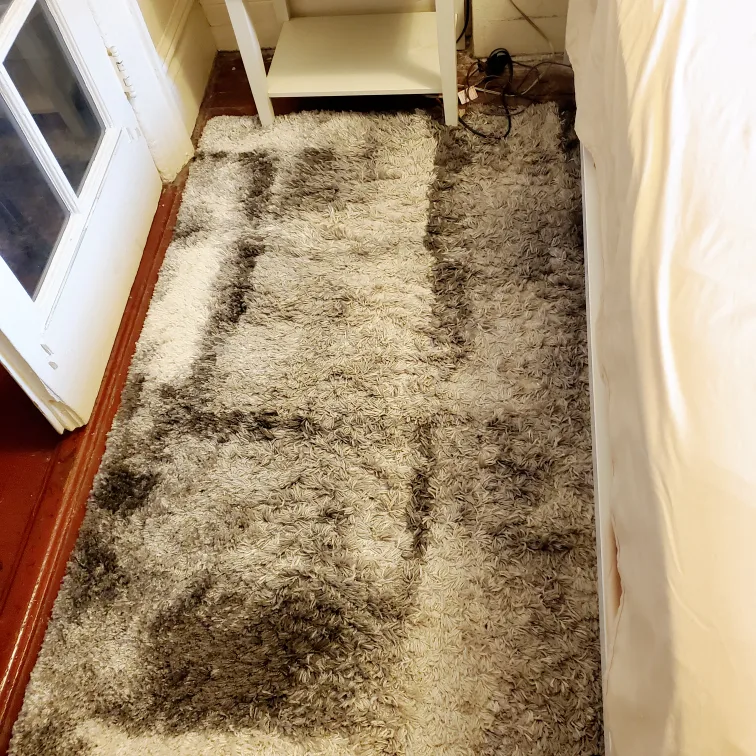 Gray Patterned Shag Area Rug thumbnail