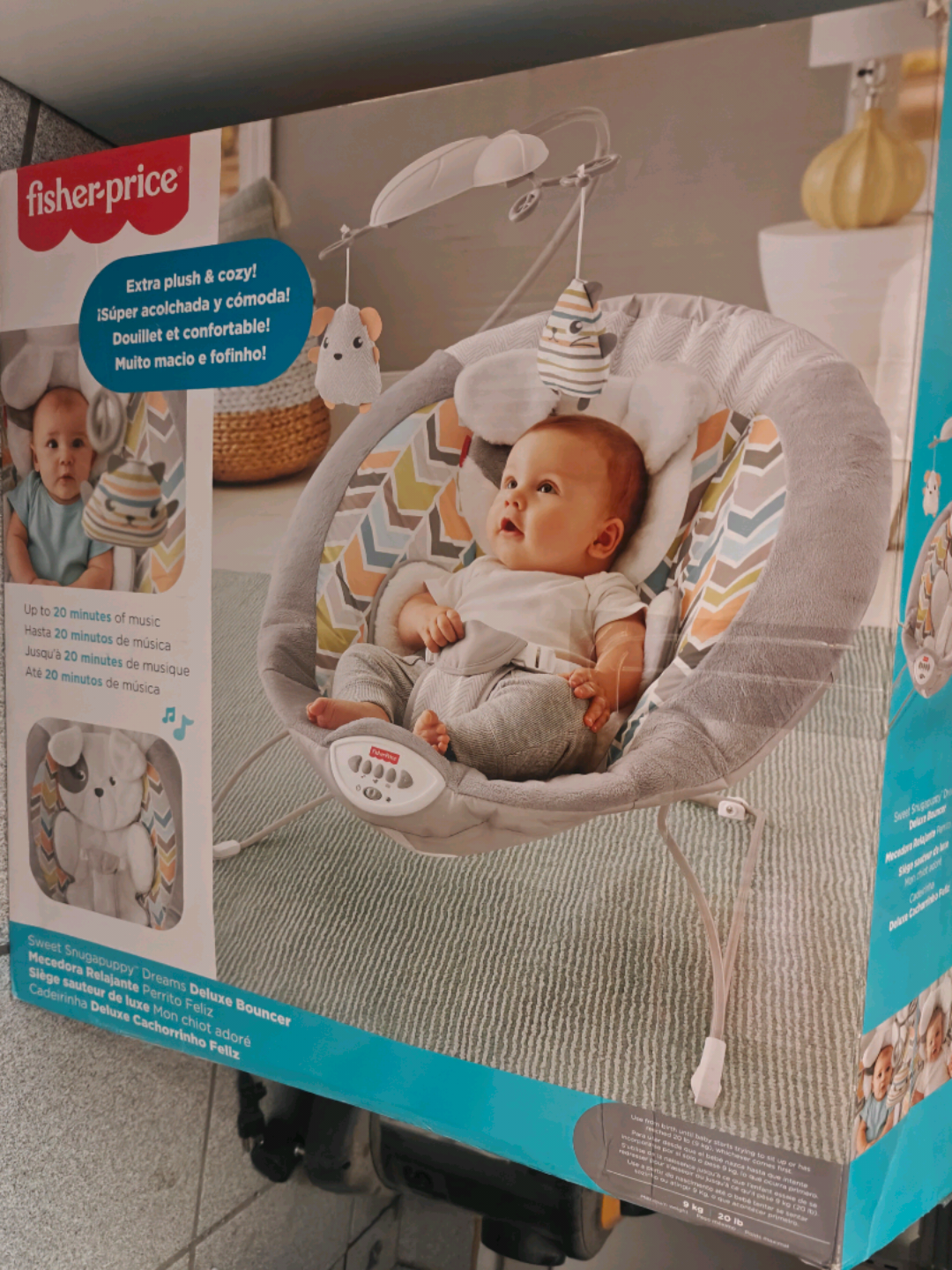 Fisher-Price Sweet Snugapuppy Dreams Deluxe Bouncer