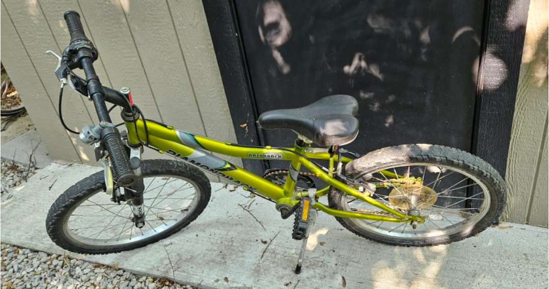 Diamondback Razorback Kids' 20" Bike