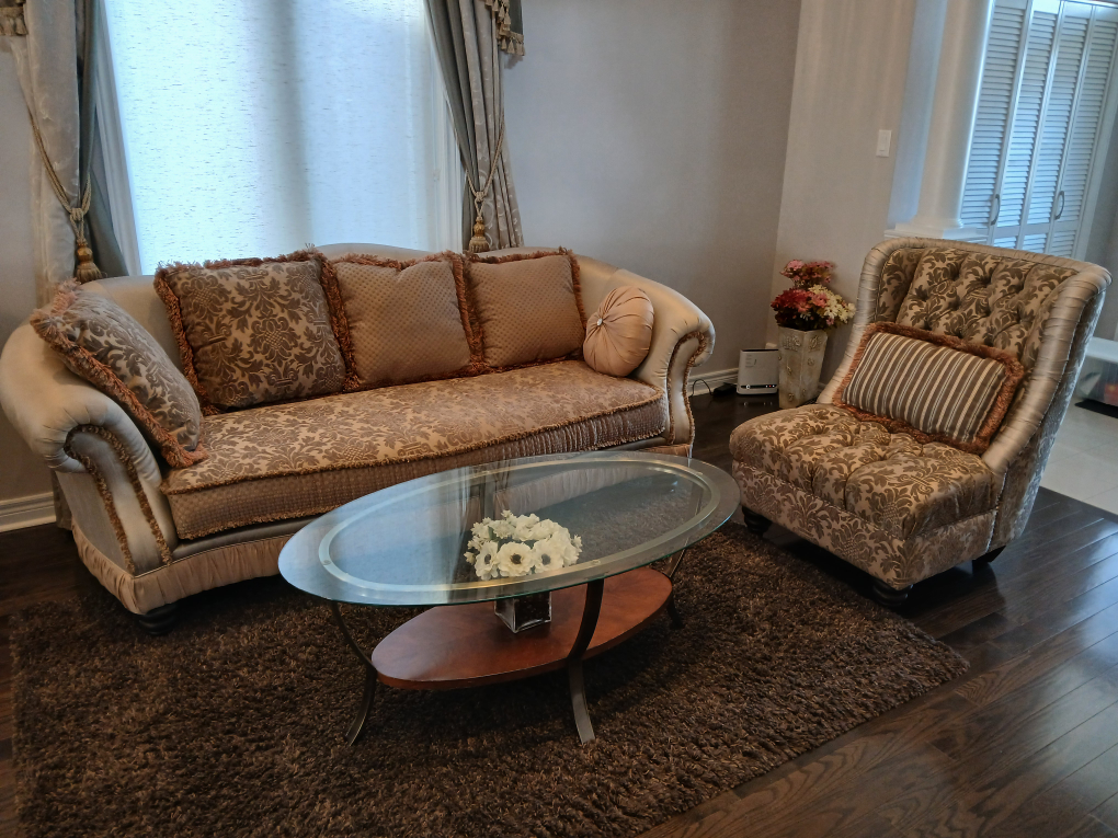 Elegant 2 piece Sofa set