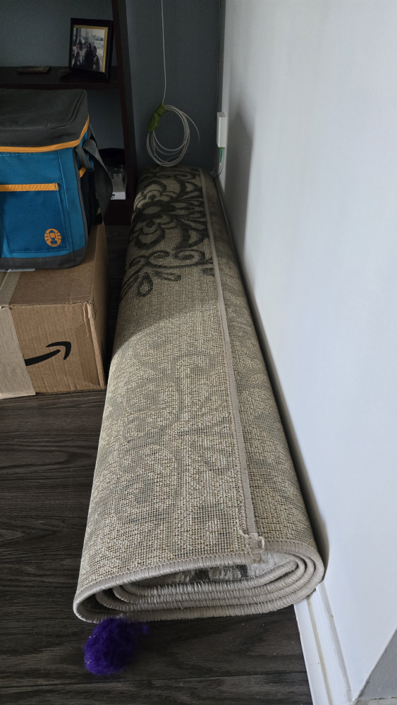 Floral Area Rug - photo 2