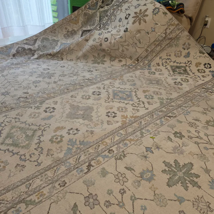 Dynamic Rugs Merit 7'10" x 10'10" - Large (CAN DELIVER) image indicator(2)