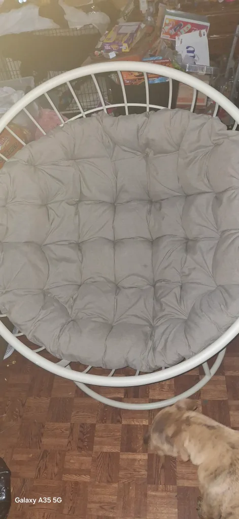 agio  Venetian egg chair thumbnail