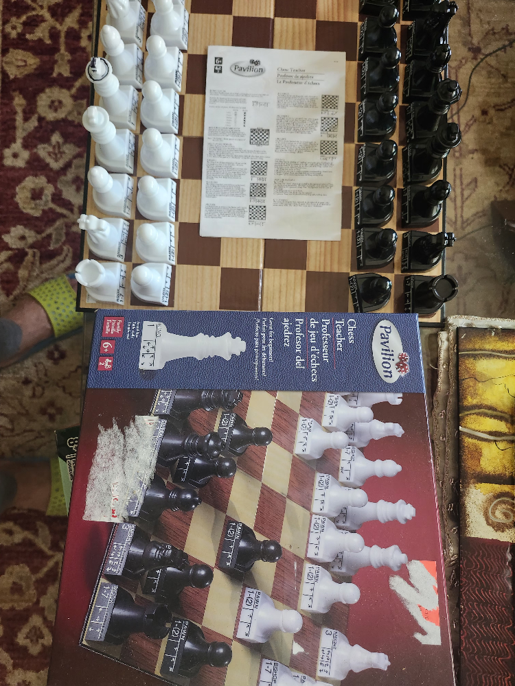 Pavilion Chess Teacher Set - photo 2