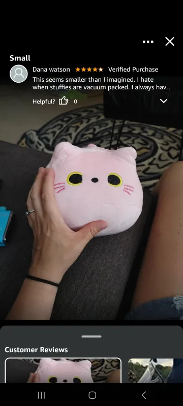 Pink Cat Plush 🧡 thumbnail