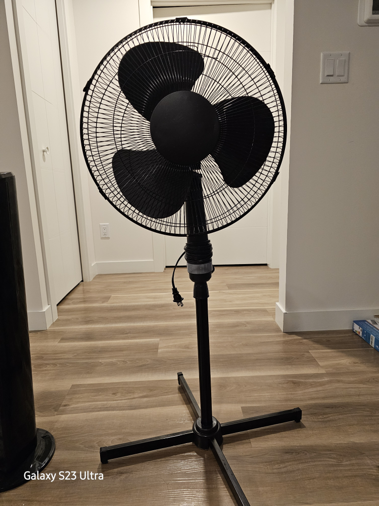 Mainstays 16" Stand Fan - Black