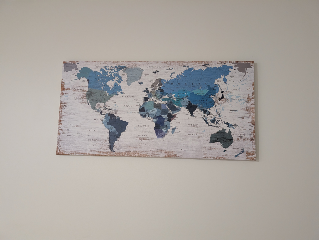 World Map Canvas - photo 2