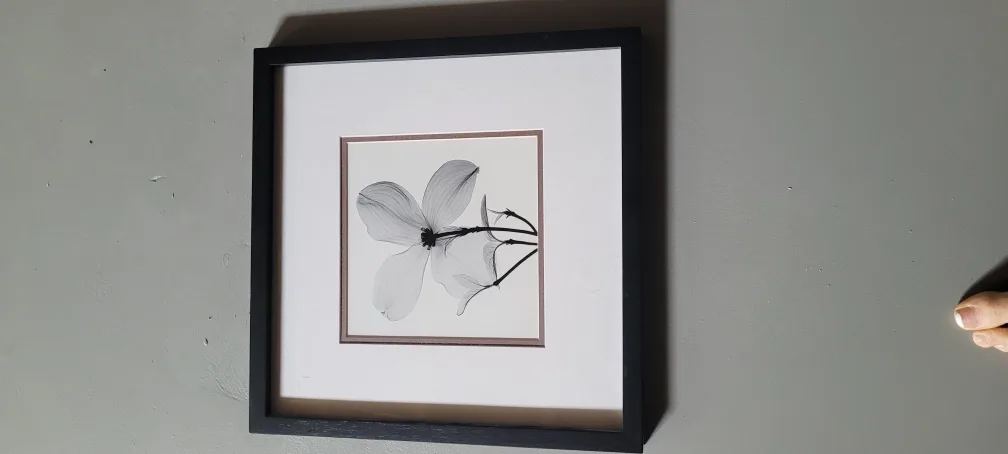 Framed Art image indicator(3)