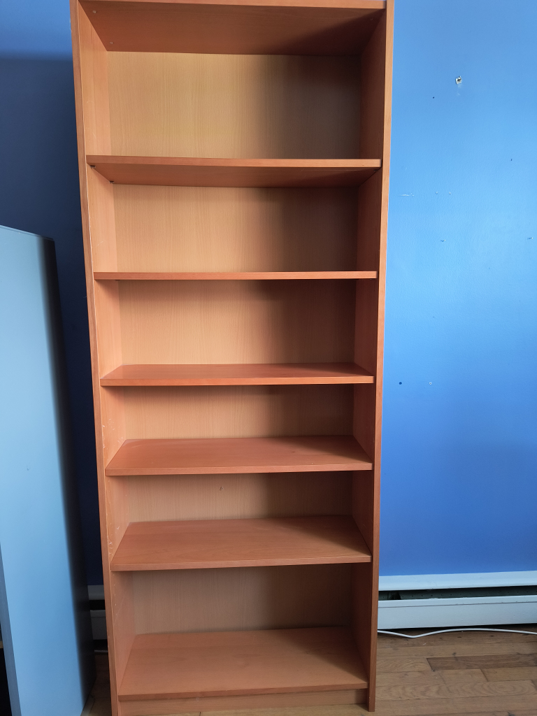 IKEA Billy Bookcase - Tall