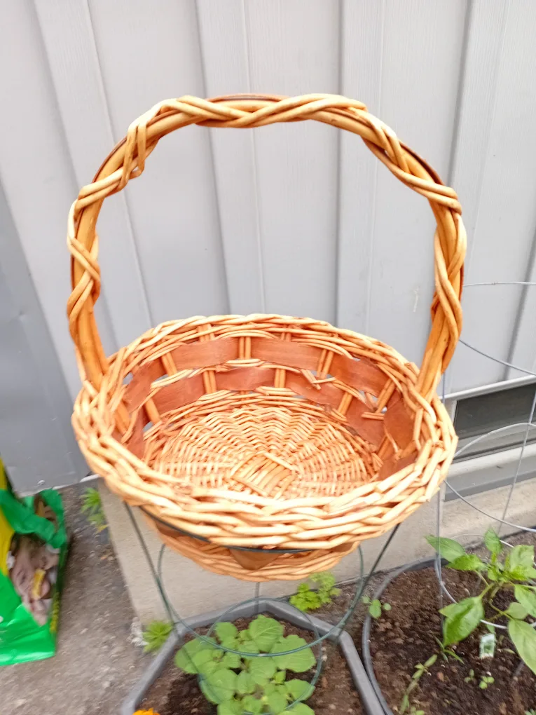Wicker Basket thumbnail