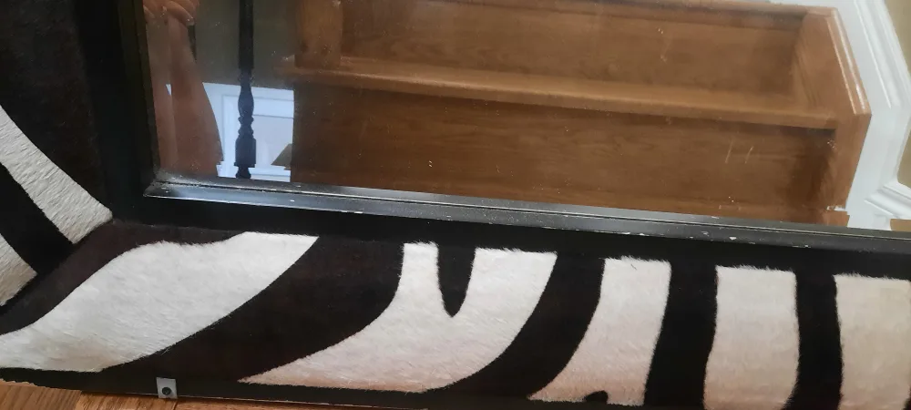 Zebra Print Mirror image indicator(3)